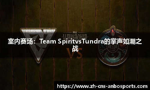 室内赛场：Team SpiritvsTundra的掌声如潮之战